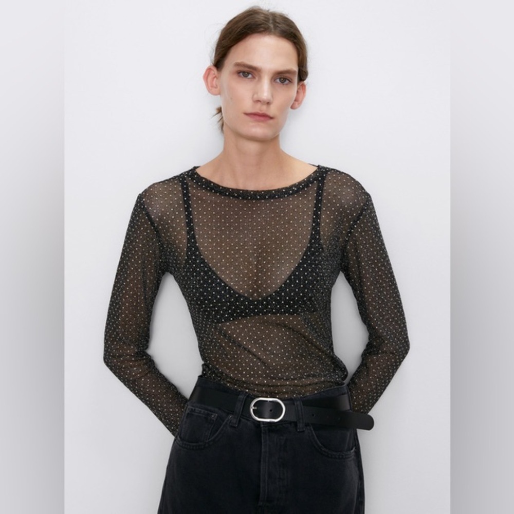 ZARA MESH LONG SLEEVE TOP